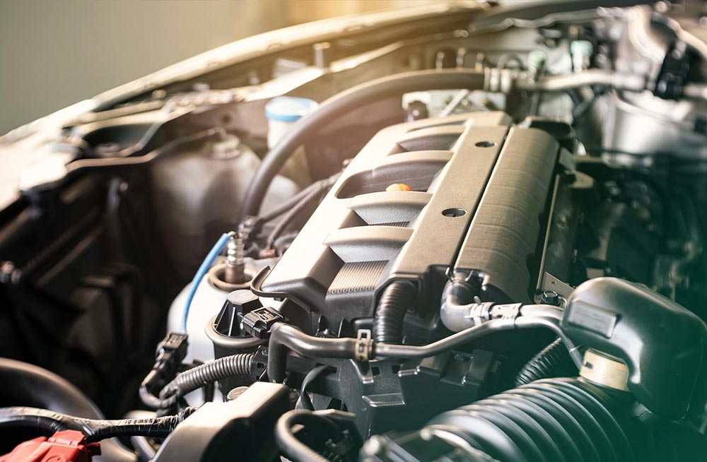 Correia distribuição